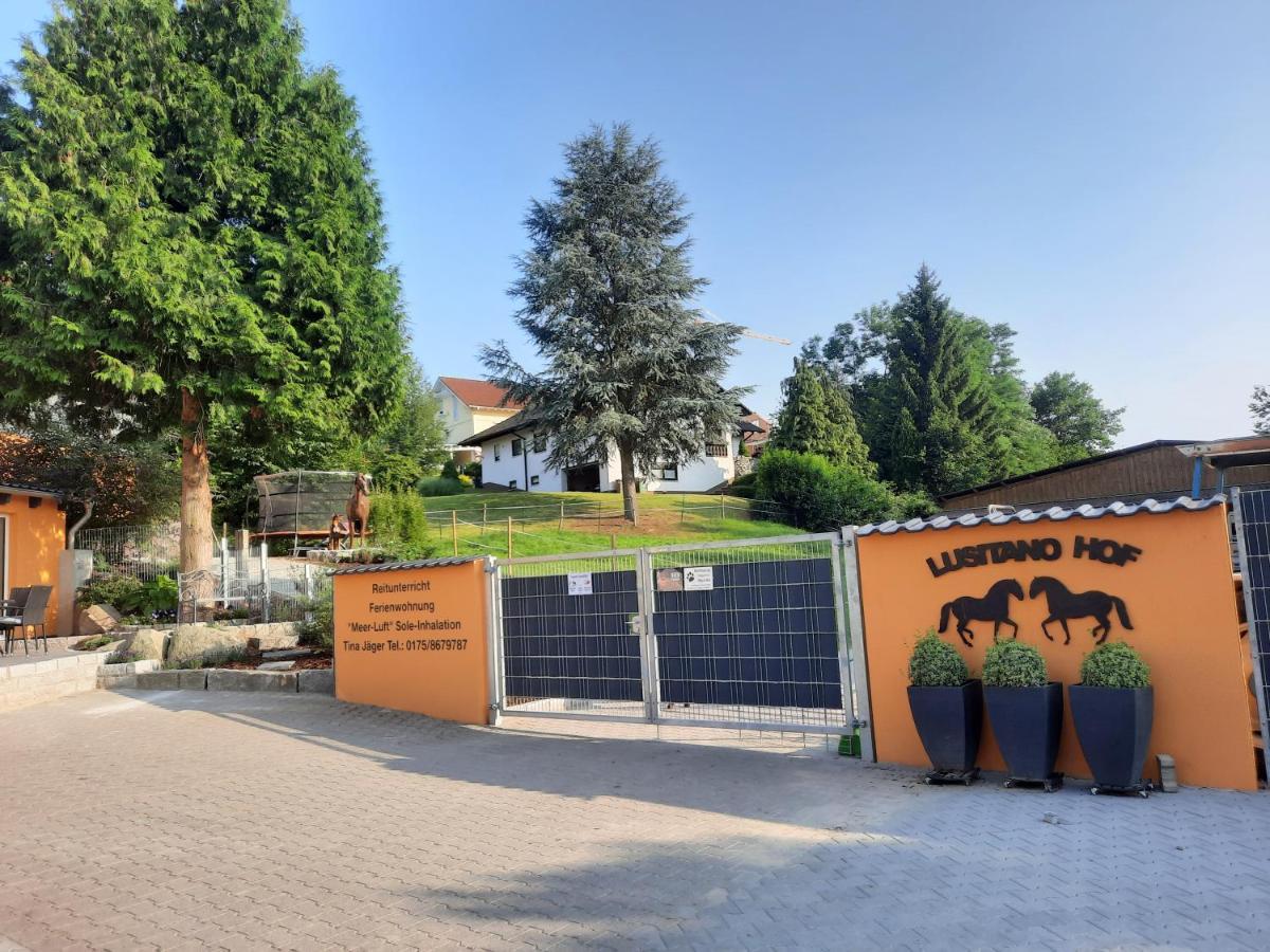 Auf Dem Lusitanohof Jäger Furth (Hessen)